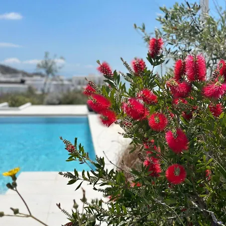 Dear John, A Serene Escape Near Elia