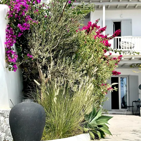 Dear John Mykonos