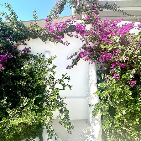 Dear John Mykonos *